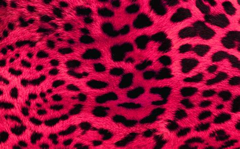 Pink Leopard Print Wallpaper #6893428