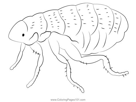 Flea Coloring Page for Kids - Free Fleas Printable Coloring Pages Online for Kids ...
