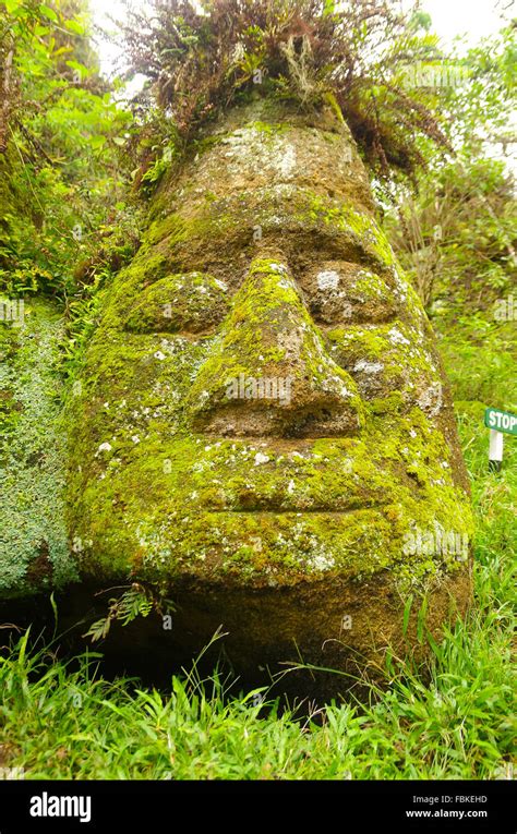 Large stone with human face features and green moss growing all over it ...