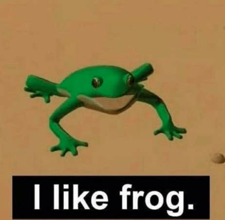 Ribbit Worthy Frog Memes To Help You Hop Into Wednesday - I Can Has Cheezburger? Kermit, Cute ...