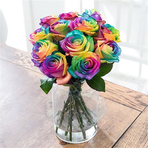 Rainbow Roses | Rainbow roses, Rainbow flowers, Dyed flowers