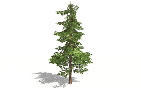 3D model pine tree realistic - TurboSquid 1517326