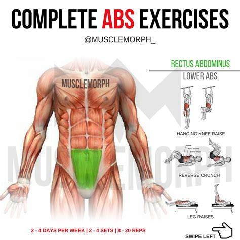 ABS WORKOUT EXERCISE 6 PACK MUSCLEMORPH MUSCLEMORPHSUPPS.COM | Abs workout, Lower abs workout ...