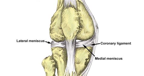 Coronary Ligament Sprain - Symptoms, Causes, Treatment & rehabilitation