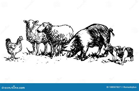 Set of Farm Animals - Illustrations Stock Vector - Illustration of animal, drawn: 188507827