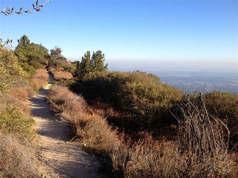 The Best Hiking Trails Around Pasadena - Pasadena Perfected