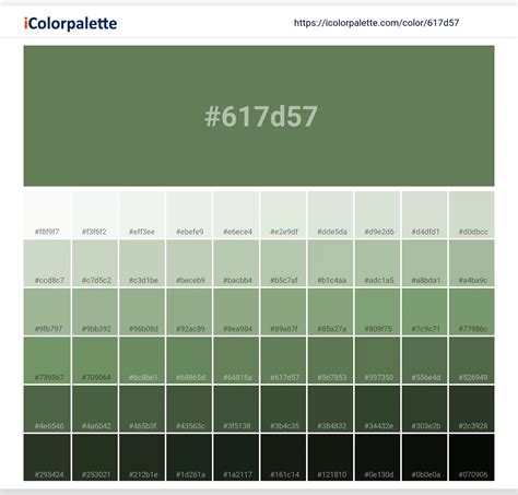 Pantone 364 Up Color | Hex color Code #617D57 information | Hsl | Rgb | Pantone