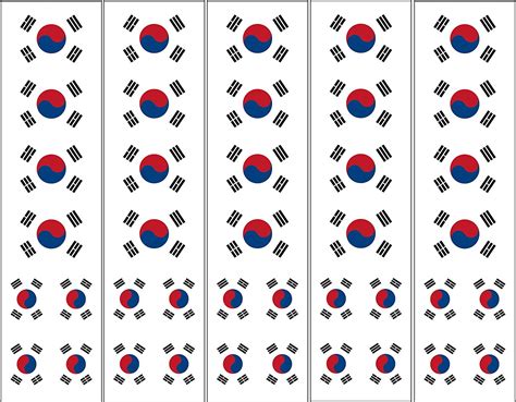 Amazon.com: 40 Removable Stickers: South Korea Flag: Korean Party ...