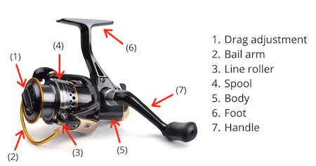 The Composition Structure Of Fishing Reels - Gomexus