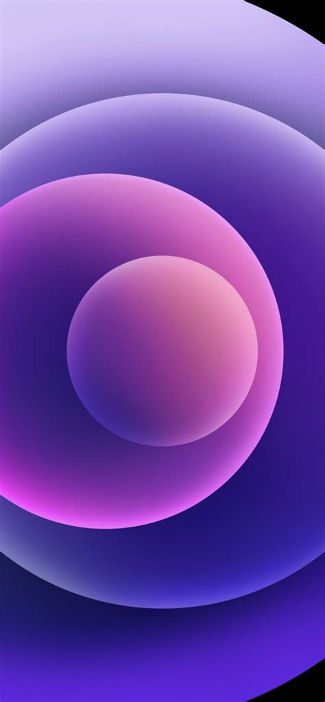 Download New Purple iPhone 12 Wallpaper for Any Device