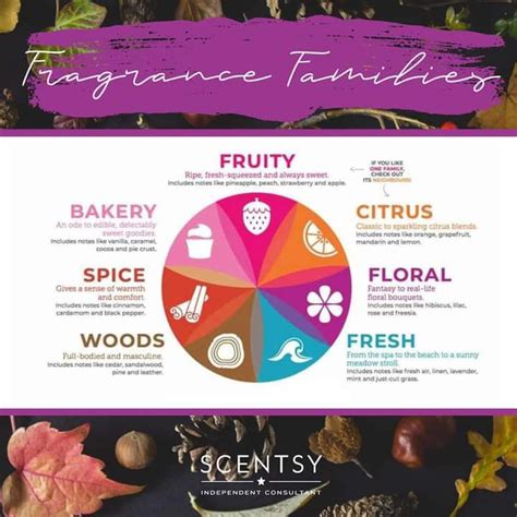 Scentsy fragrances | Scentsy fragrance, Scentsy, Fragrance