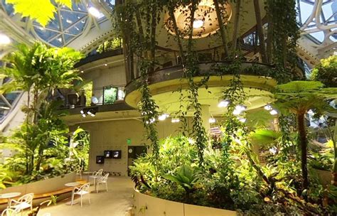 Amazon opens its tree-filled spherical headquarters in downtown Seattle