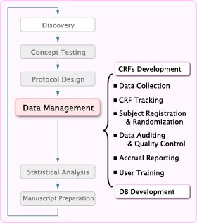 Pig Hairdresser Blow clinical research data Supervise Soaked Please