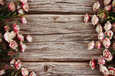 Pink Roses Flowers Border Frame on Wooden Background Stock Photo ...