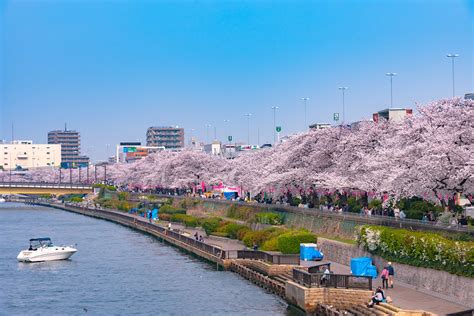 The Sumida River and Fireworks Festival | KCP International