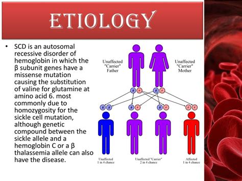 PPT - SICKLE CELL DISEASE ( scd ) PowerPoint Presentation, free download - ID:2644910