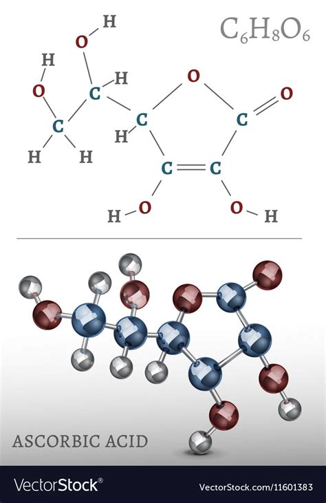 Ascorbic acid molecule Royalty Free Vector Image