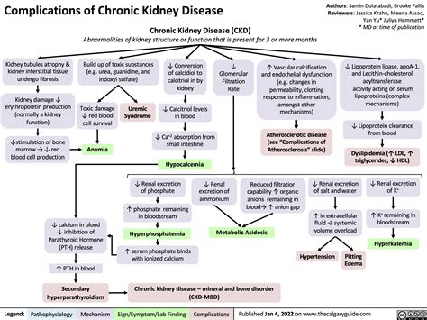 Complications of Chronic Kidney Disease (CKD) | Calgary Guide