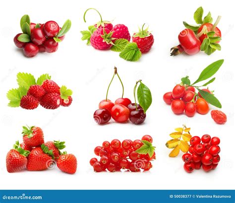 Types Of Berry Fruits