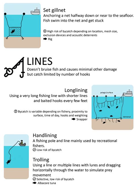 Challenges for the marine environment – The future of commercial fishing in Aotearoa New Zealand ...