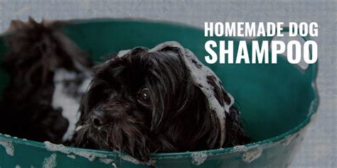 Homemade Dog Shampoo – Key DIY Ingredients, Mixing, Tips & FAQ