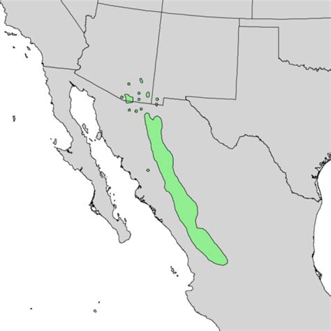 Mirar fijamente Reportero Ardilla sierra madre occidental mapa Baño ...