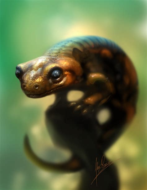 Fire Salamander by AlexRuizArt on deviantART