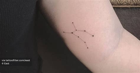 Lupus constellation tattoo