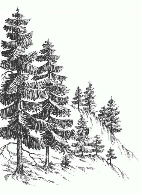 Pin by VMH on Hình vẽ nghệ thuật | Mountain landscape drawing, Landscape drawings, Drawings