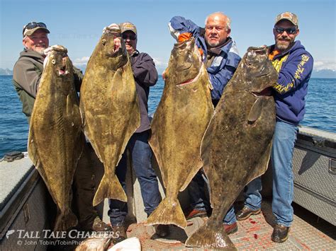 Halibut Fishing in Alaska