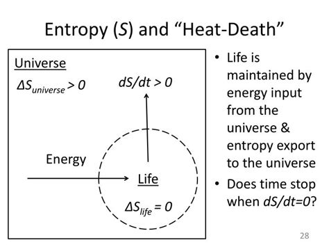 PPT - Origins and Early Evolution of Life PowerPoint Presentation - ID ...