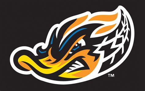 Akron Rubber Ducks logo | ? logo, Sports team logos, Logo design art