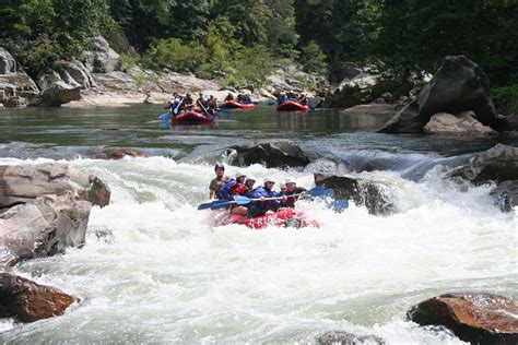 #whitewaterrafting @myusaraft on the Nolichucky river. | Vacances