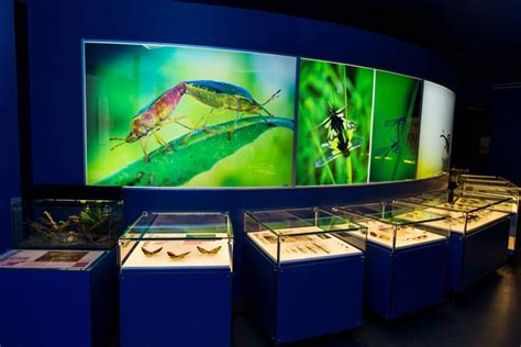 Montreal Insectarium - Montreal Travel Guide