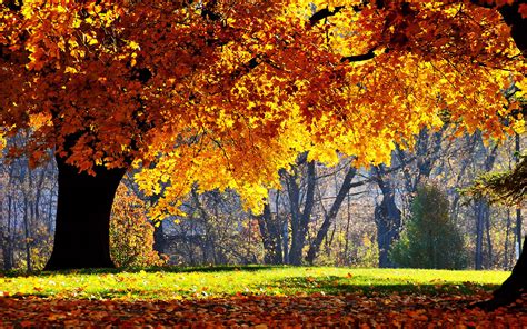 wallpapers: Beautiful Autumn Scenery Wallpapers