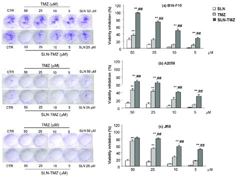 Clonogenic assay: (a) B16-F10; (b) A2058; (c) JR8. Cells were treated ...