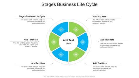 Stages Business Life Cycle In Powerpoint And Google Slides Cpb