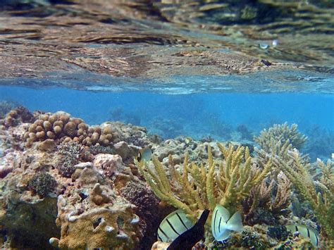 Tuamotu Islands - French Polynesia - Around Guides