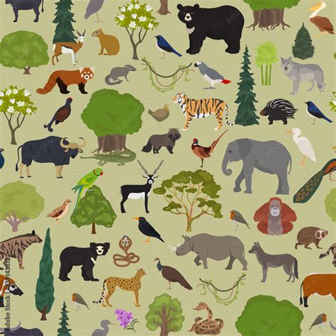 Monsoon forest biome, natural region seamless pattern. Terrestrial ...