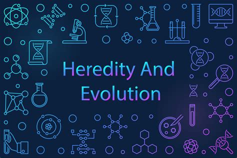 Heredity And Evolution Class 10 Study Notes - Leverage Edu