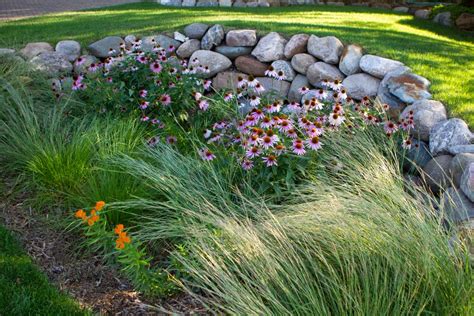 The Ripple Effect: Every Rain Garden Needs a Little TLC!