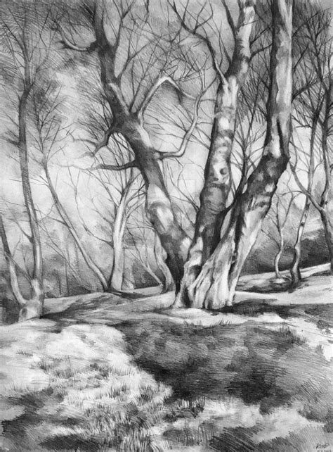 musing of trees | Landscape drawings, Tree drawings pencil, Landscape sketch