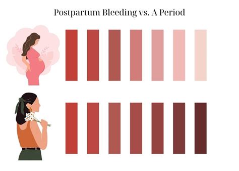 4 Weeks Postpartum Bleeding: What’s Normal and What’s Not – The Mom Love Blog