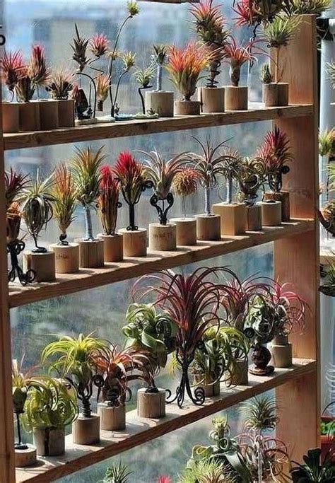 30 Stunning Ways To Wall Display House Plants With Cactus #homedecorideas #homedecoraccessories ...