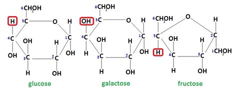 Simple Bio-science: Carbohydrates-Monosaccharides