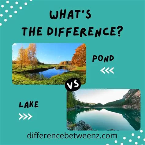 Difference between Pond and Lake - Difference Betweenz