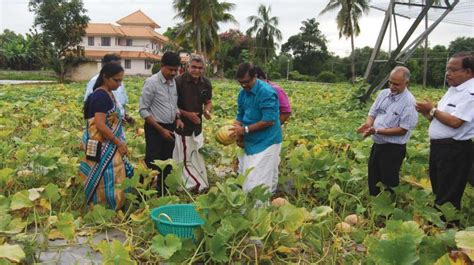 Agriculture in Kerala | Kerala Agriculture