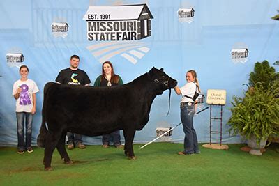 2020 Missouri State Fair – Limousin365