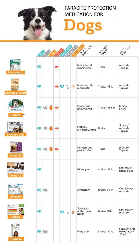 Protect Your Pooch: Top 10 Heartworm, Flea, and Tick Preventatives for ...