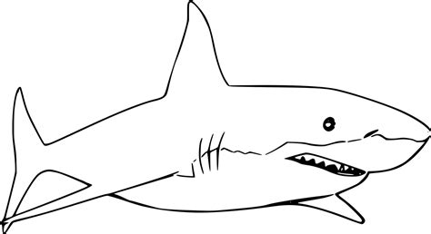 Bigeye Thresher Shark Coloring Pages - Coloring Cool